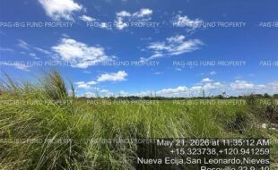 fil4020260602023