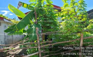 fil4020260706256