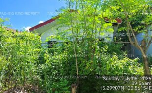 fil4020260706263