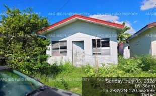 fil4020260706295