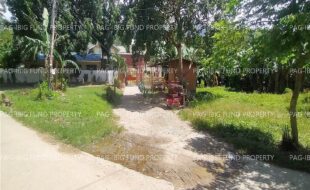 fil4720230830002