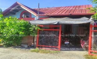 fil4720241226047