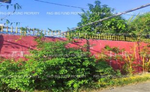 fil4720250114025