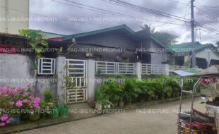 fil4720250321139