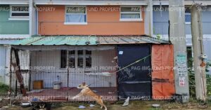 Pag-IBIG ROPA # 849202411280083 - Lot 13 Blk. 8 Phase 3 VIA VERDE VILLAGE SAN VICENTE, CITY OF STO. TOMAS, BATANGAS, 4234 - Negotiated Sale on Jul. 27, 2026 - Jul. 31, 2026 (Occupied)