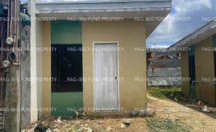 fil4720250818172