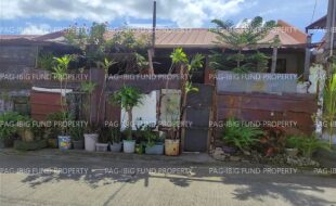 fil4720260220045