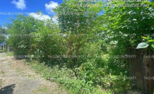 fil5320240830015