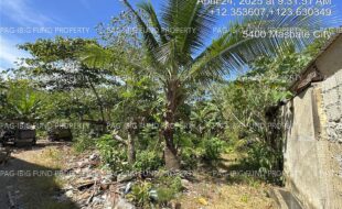 fil5320250426001