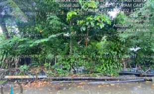 fil5320250721002