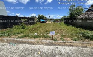 fil5320260430017