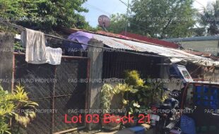 fil5920230518006