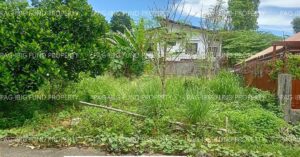 Pag-IBIG ROPA # 859202309180006 - Lot 13 Blk. 20 Phase 1 VILLA ANGELA SUBDIVISION VILLAMONTE, BACOLOD CITY, NEGROS OCCIDENTAL, 6100 - 2nd Public Auction on Jul. 27, 2026 - Jul. 31, 2026