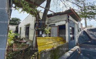 fil5920251106027