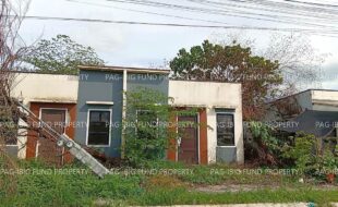 fil5920251202008