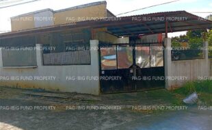 fil5920260316004