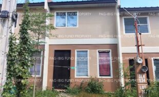 fil5920260408081