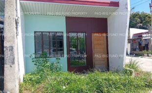 fil5920260708007