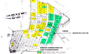 fil6420220727021