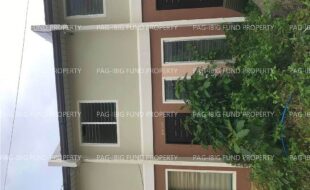 fil6420240113009
