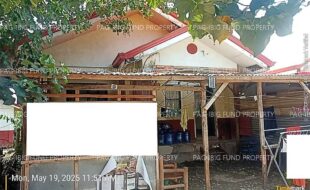 fil7620250529027