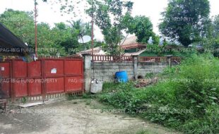 fil8220240925049