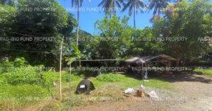 Pag-IBIG ROPA # 883202309280008 - Lot 3728-B-1 NON SUBDIVISION ROSARIO, TANDAG CITY, SURIGAO DEL SUR, 8300 - Negotiated Sale on Jul. 27, 2026 - Jul. 31, 2026