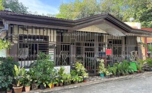 fil8220250731007