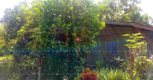 Pag-IBIG ROPA # 809018112200063 - Lot 3 Blk. 6 STANFILCO SUBDIVISION LUNA, KAPALONG, DAVAO DEL NORTE, 8113 - Negotiated Sale on Jul. 27, 2026 - Jul. 31, 2026 (Occupied)