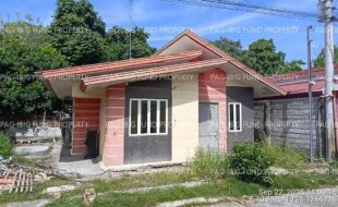 fil8820250925037