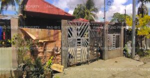 Pag-IBIG ROPA # 890202511250005 - Lot 21 Blk. 16 VILLA CLEMENTA SUBD MANIKI (POBLACION), KAPALONG, DAVAO DEL NORTE, 8113 - 2nd Public Auction on Jul. 27, 2026 - Jul. 31, 2026 (Occupied)