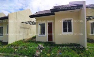 fil8820260707019