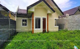 fil8820260707020